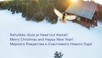 Мирного Рождества и Cчастливого Нового Года!